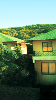honeywood hotel